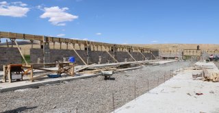 Modern Ahır Projeleri Yükselmeye Devam Ediyor