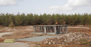 BÜYÜKŞEHİR, SOKAK HAYVANLARI BAKIM EVİ İNŞASINA BAŞLADI