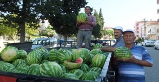 Burhaniyede Yerli Karpuz Çıktı