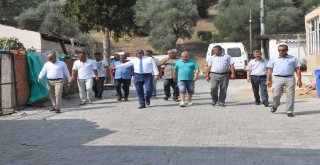 Başkan Alıcık, Bozyurtta İncelemelerde Bulundu