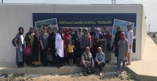 Aileler Kocaali Sosyal Tesisinde Buluşuyor