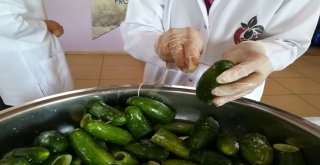 Gastronomi Kenti Hatayda Dolmalık Ve Turşuluk Salatalıklar Kışa Hazırlanıyor