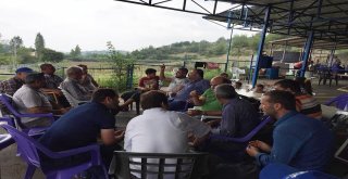 Kozan İlçe Tarım Müdürlüğünden Akdeniz Sineği İle Mücadele