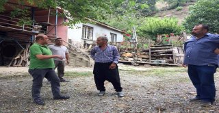 Kozan İlçe Tarım Müdürlüğünden Akdeniz Sineği İle Mücadele