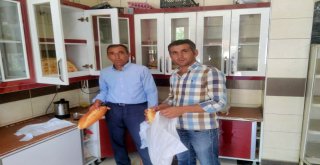 Bahçelinin Askıda Ekmek Kampanyasına Sasondan Destek