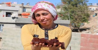 Bağ Bozumu İle Şiracılarin Zorlu Mesaisi Başladı