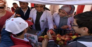 Dünya Yürüyüş Günü Gümüşhanede Kutlandı