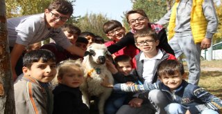 Erzurumda Kuzulu Çocuk Kütüphanesi
