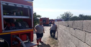 Hatayda Ahırda Yangın Çıktı