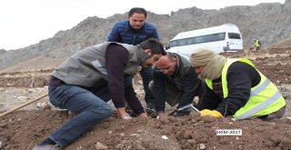 Yaban Hayvanlar İçin Dikilen Meyve Fidanları Büyüyor