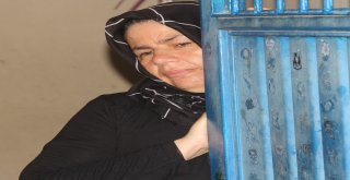 Sürpriz Kurbanlık Gözyaşlarına Boğdu