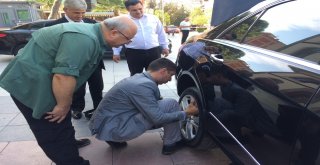 Manisa Valiliği Önünde Kedi Seferberliği