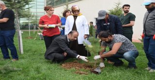 Malatya Eğitim Ve Araştırma Hastanesinde Anlamlı Etkinlik