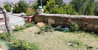 Tarihi Mezar Taşı Duvardan Çıktı