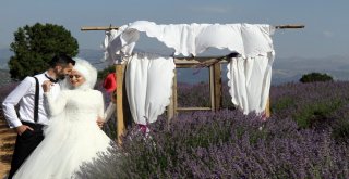 Türkiyenin Doğal Fotoğraf Stüdyosu Lavanta Tarlalarında Düğün Turizmi