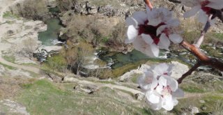 Aksarayı İlk 6 Ayda 437 Bin Turist Ziyaret Etti