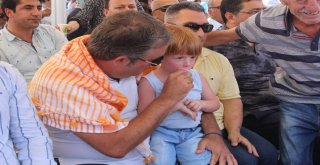 Bucada Renkli Bağ Bozumu Şenliği