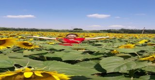 Organlarıyla 5 Kişiye Hayat Verdi