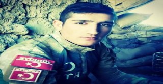 Şehit Ateşi Vana Düştü