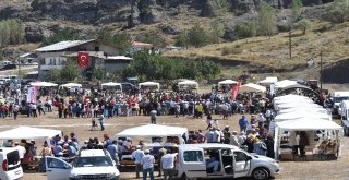 Hasat Şenliği Coşkusu Artarak Devam Etmeli