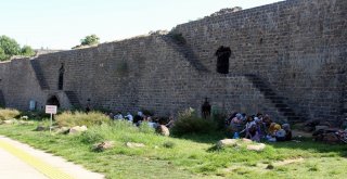 Güneşi Gören Kaçtı