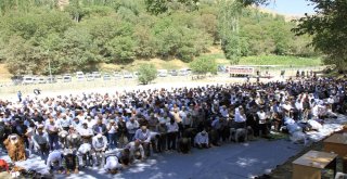 Bediüzzaman Said Nursi İçin Mevlit Verildi