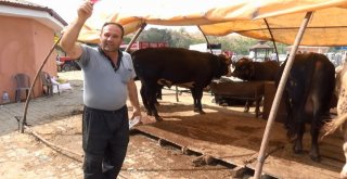 Kırıkkalede Kurban Pazarı Hareketlendi