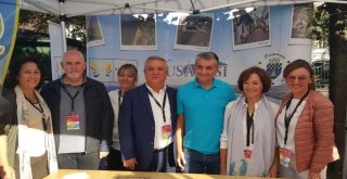 Kardeş Şehir Sınaıda Kuşadası Standına Büyük İlgi