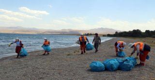 Van Büyükşehir Belediyesi Martı Ölümleri Sonrası Harekete Geçti