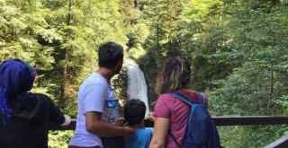 Akın Akın Şelaleyi Görmek Ve Resim Çektirmek İçin Geliyorlar