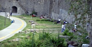 Tehlikeye Aldırış Etmeden Serinliyorlar