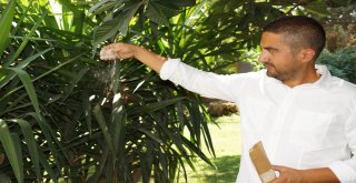 İtalyada Gördü, Türkiyede Uyguladı