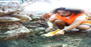 Gölyazıdaki İstiridye Kabukları Tarihe Işık Tutuyor