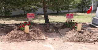 Şehit Annenin Ağabeyi: Kıyamadığımız Kız Kardeşimize Zalimler Kıydı