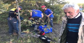 Aç Kurttan Kaçan 40 Koyun Telef Oldu