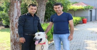 Antalya Tatili Ödüllü Alemdar Bulundu