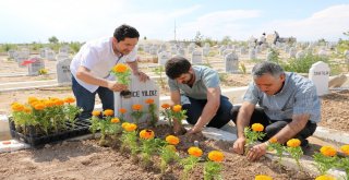 Türkiye Bu Sevgiyi Konuşuyor