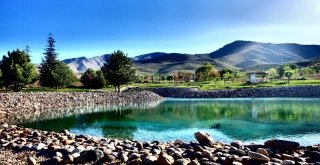 Üniversitenin Saklı İncisi Arboretum Park Göleti