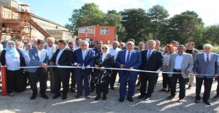 Pancar Alım Ve Şeker Üretim Kampanyası Başladı