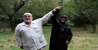 (Özel) ‘Survivor Mücadelesi İle İzlenme Rekoru Kıran Yaşlı Çift İhaya Konuştu