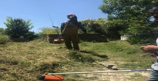 Tatvandaki Mezarlıklar Temizleniyor