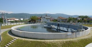 Buski Gemlik Körfezine Hayat Verecek