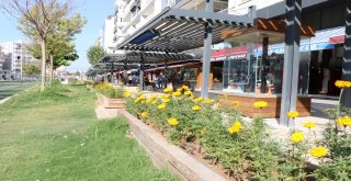 Ali Çetinkaya Açık Hava Müzesine Dönüştü