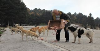 (Özel Haber) Bir Çok Kişi Öldürmeye, O Yaşatmaya Çalışıyor