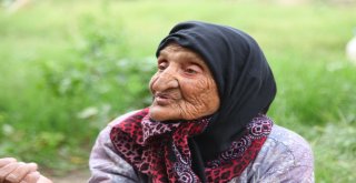 En Yaşlı Elektrik Abonesi Adeta Türkiye Tarihine Işık Tutuyor