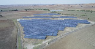 Güneş Tarlasında Hasat Yapıldı: 190 Bin Kwh Elektrik