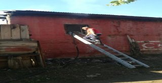 Fekede Ev Ve İş Yeri Yangını
