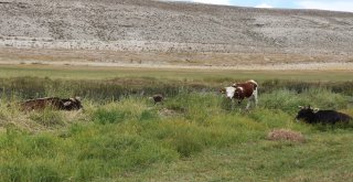 Kayseride İki Mahalle Karantinaya Alındı