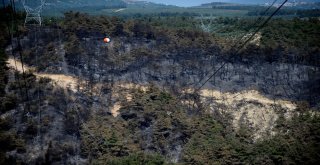 Vali Küçük: Yangın Sigara İzmariti Veya Cam Kırığından Çıkmış Olabilir