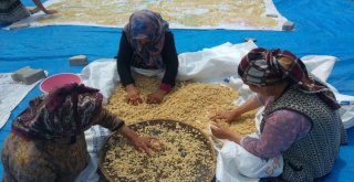 Kadınların Tarhana Mesaisi Başladı